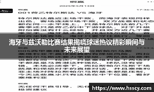 海牙与兹沃勒比赛结果揭晓球迷热议精彩瞬间与未来展望