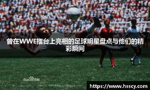 芒果体育官方网站