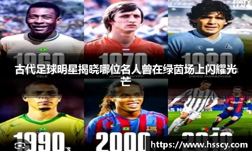 芒果体育官网入口